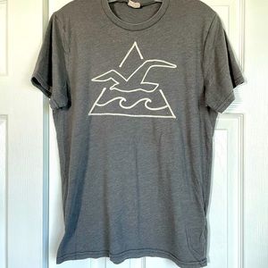 Hollister T-shirt